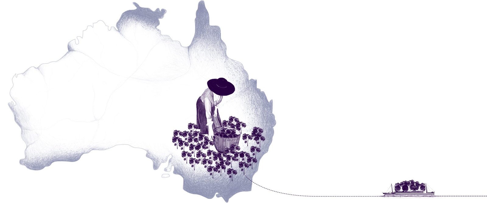 Because the fabric starts with the cotton, this is where Livid starts.