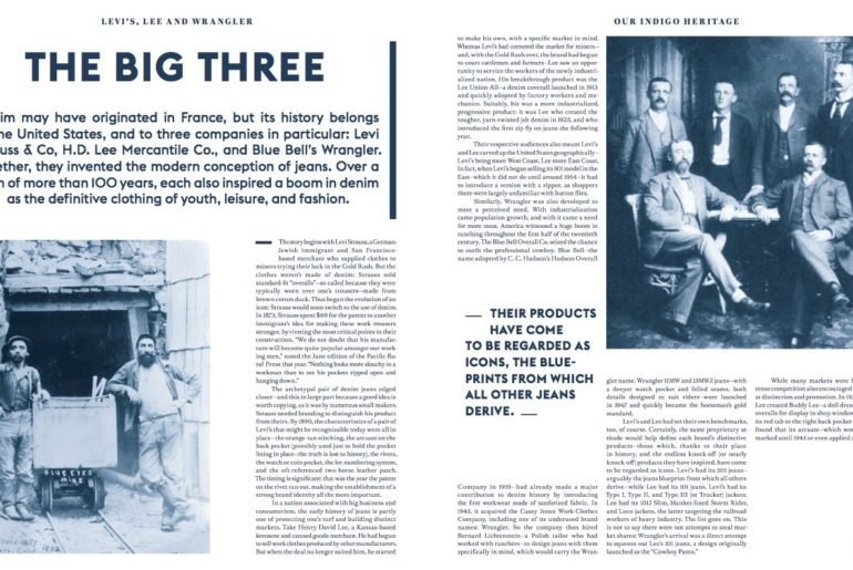 Levi's profile in Blue Blooded book-191