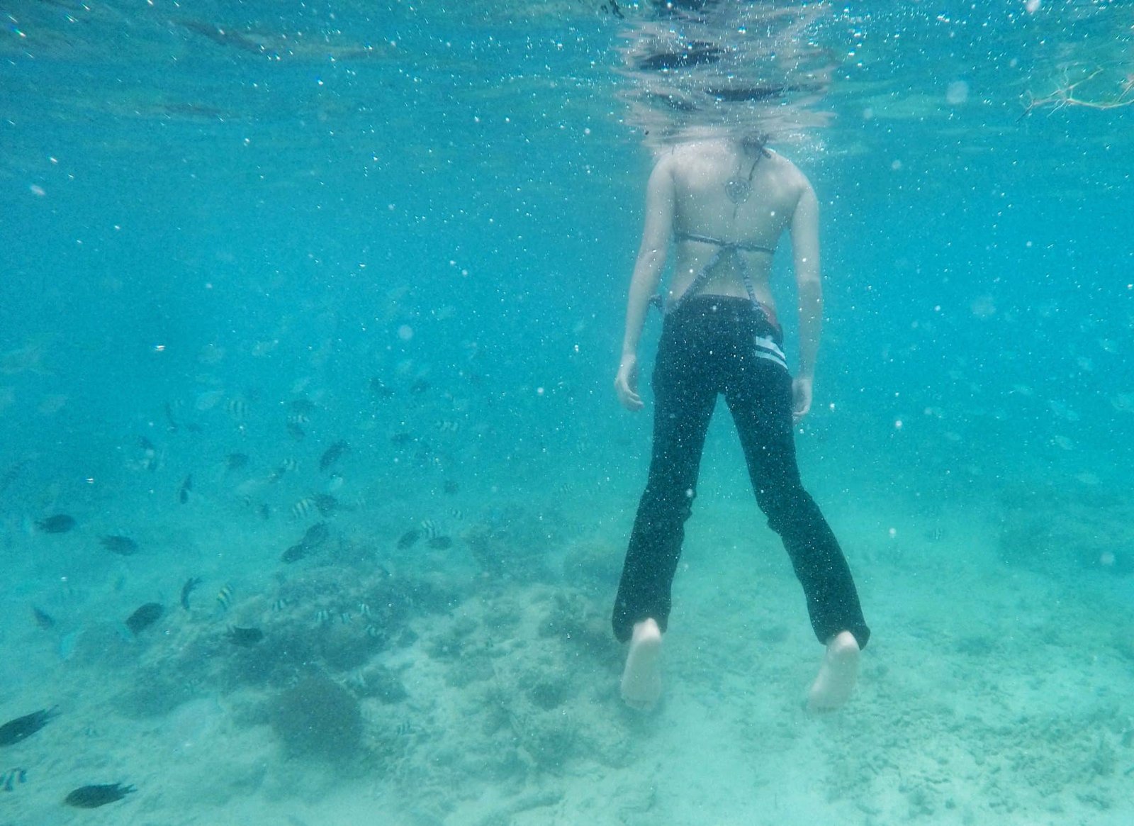 10 “Eastern” Indigo Invitational Faders to Watch on Instagram