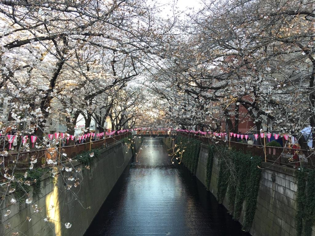 Men’s File Special: Walk Around Tokyo with Nick Clements